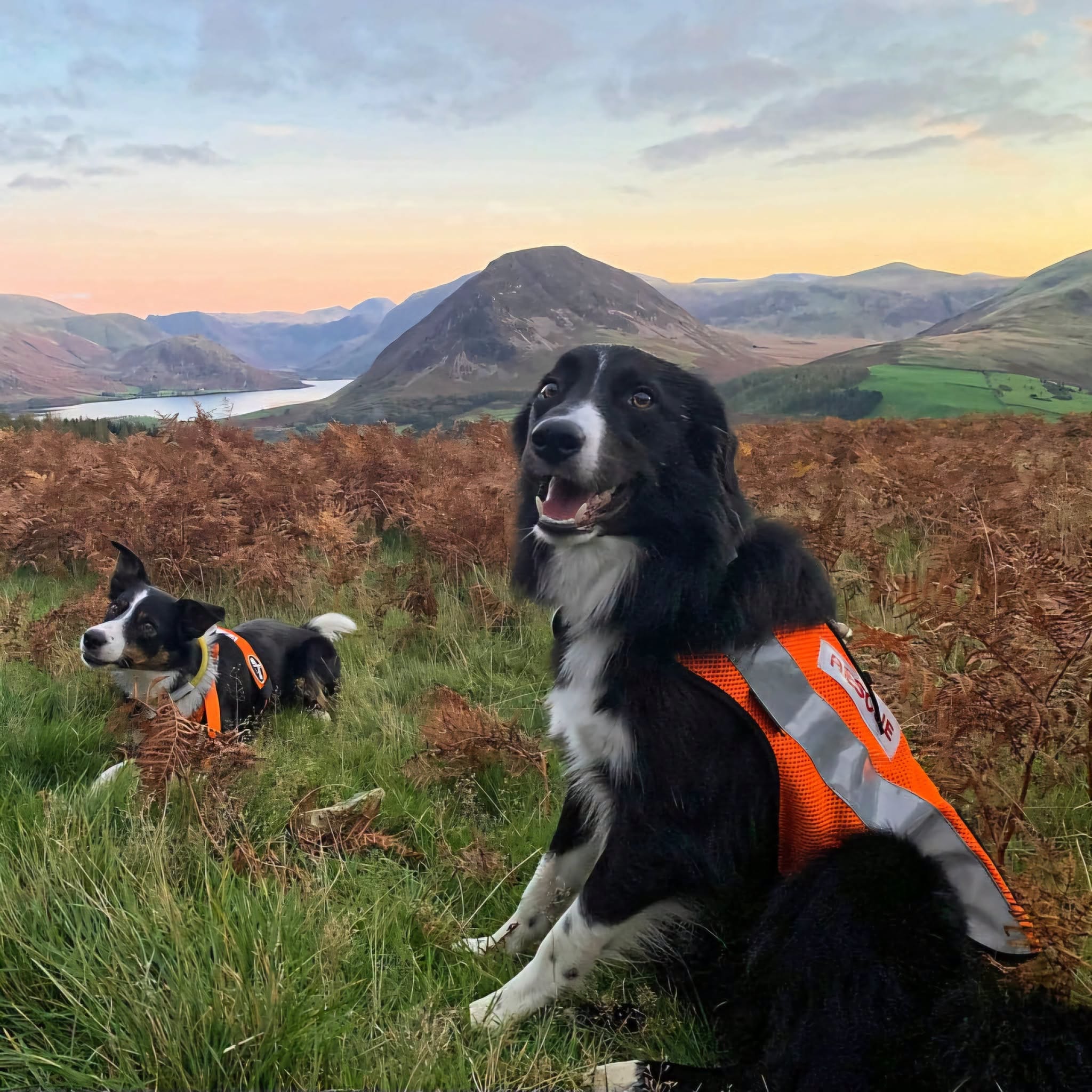 £6000 to Lake District Mountain Rescue